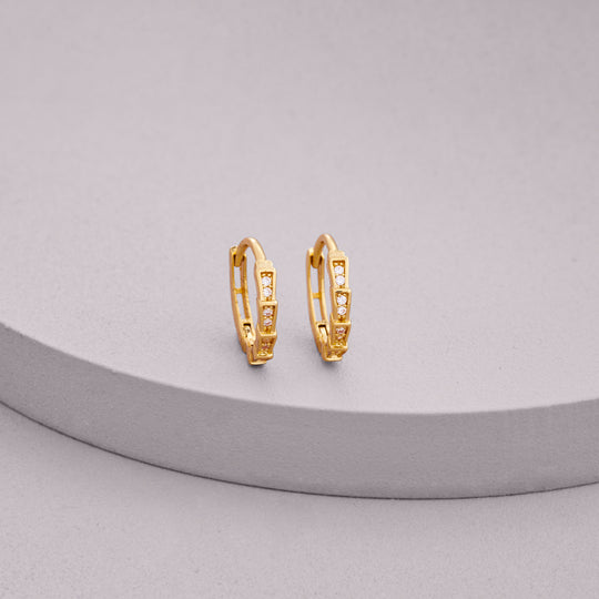 Trendy Earring 203530