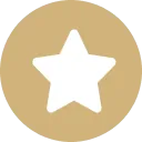 4.5 + Rating