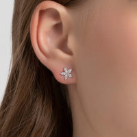 Silver Earring 92.5 Silver Earring 161234