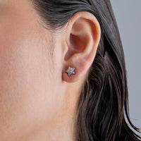 Silver Earring 92.5 Silver Earring 183230