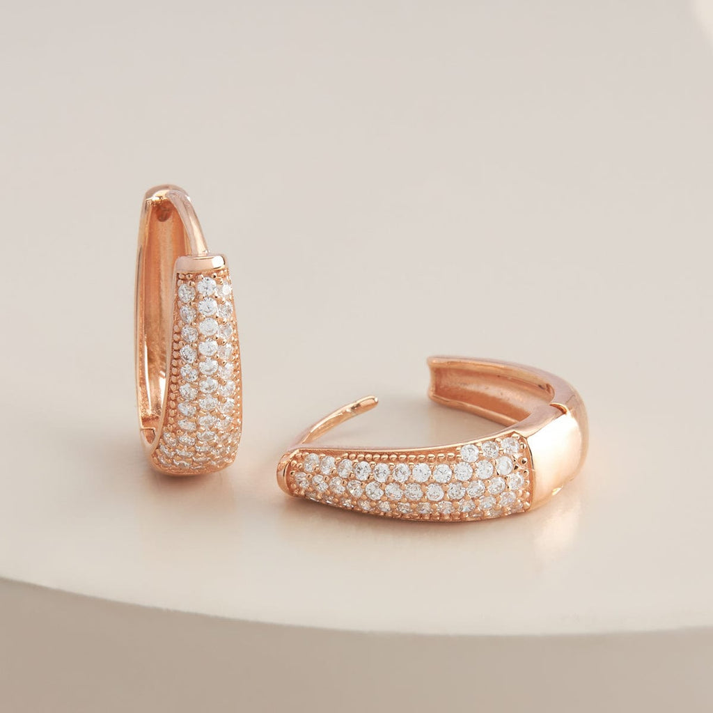 Silver Earring 92.5 Silver Earring 188282