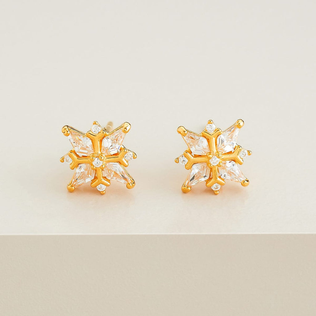 Silver Earring 92.5 Silver Earring 188440