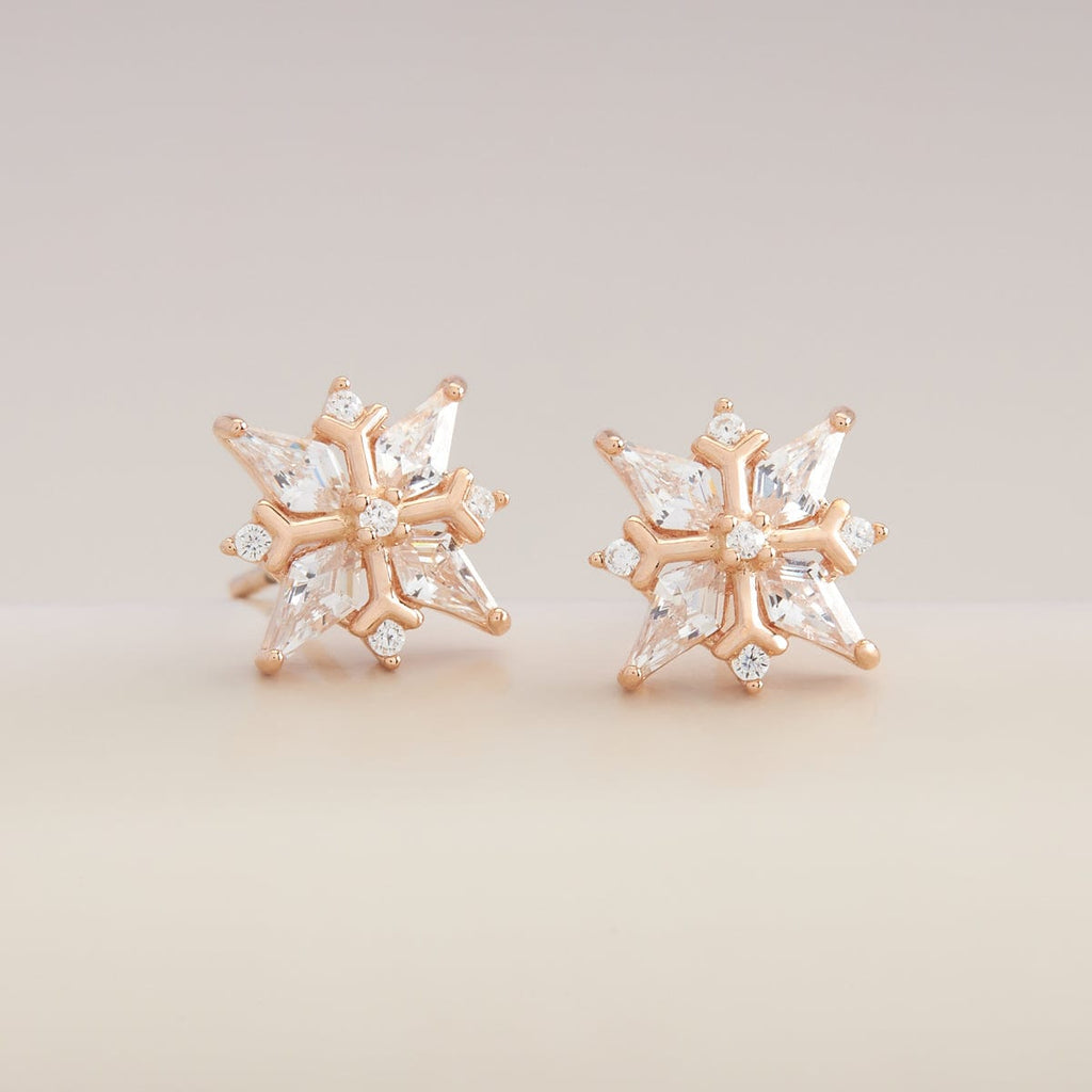 Silver Earring 92.5 Silver Earring 188440