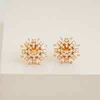 Silver Earring 92.5 Silver Earring 191465