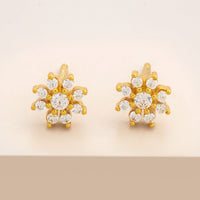 Silver Earring 92.5 Silver Earring 194332