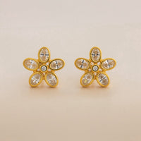 Silver Earring 92.5 Silver Earring 194365