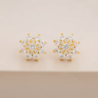 Silver Earring 92.5 Silver Earring 194368