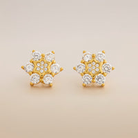 Silver Earring 92.5 Silver Earring 194403