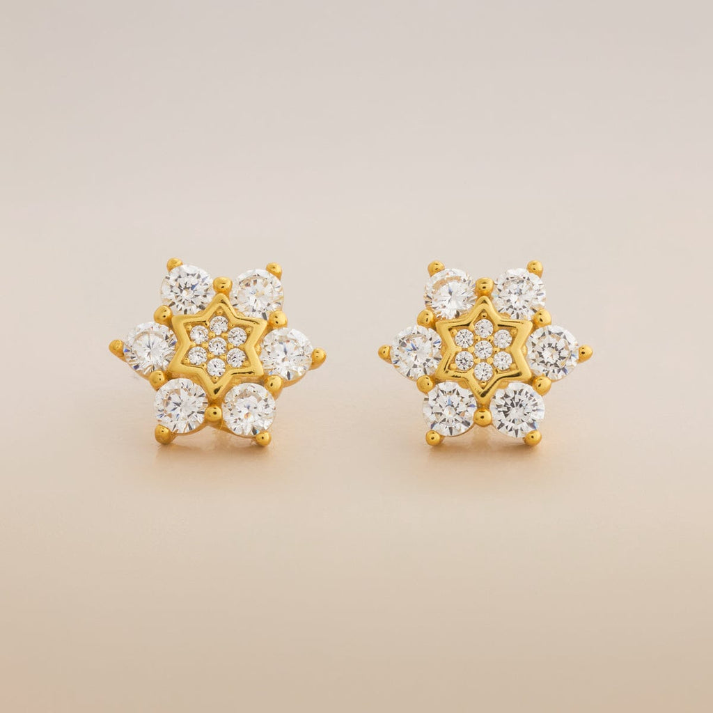 Silver Earring 92.5 Silver Earring 194403