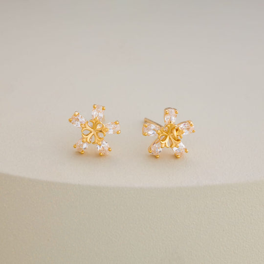 Silver Earring 92.5 Silver Earring 200713