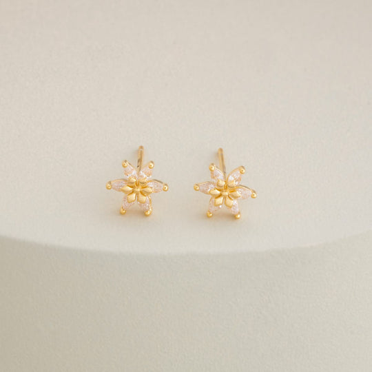 Silver Earring 92.5 Silver Earring 200732