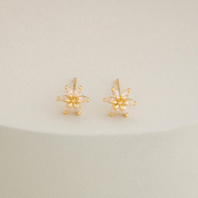 Silver Earring 92.5 Silver Earring 200732