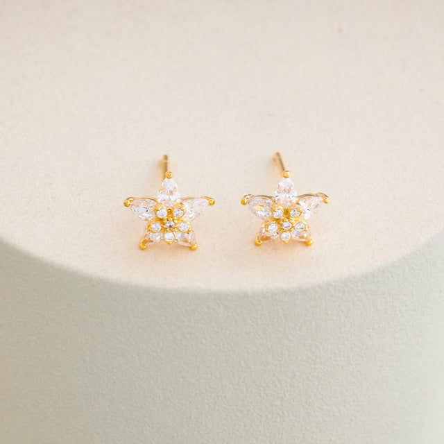Silver Earring 92.5 Silver Earring 200961