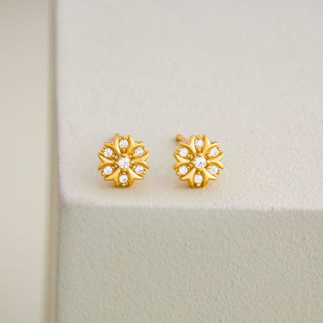 Silver Earring 92.5 Silver Earring 201009