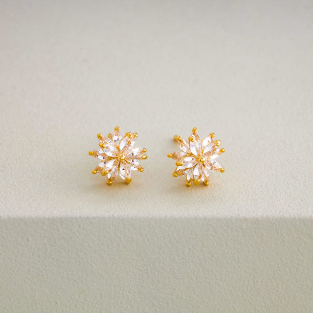 Silver Earring 92.5 Silver Earring 201098