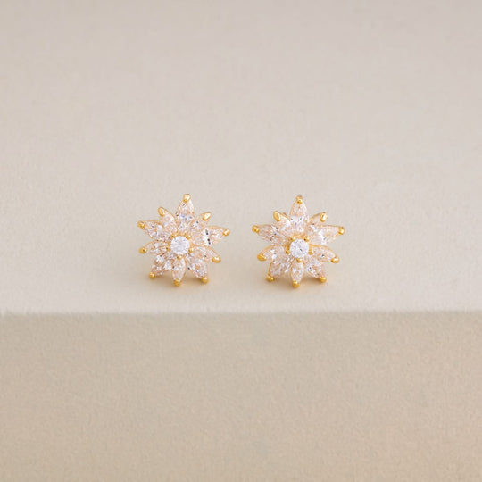 Silver Earring 92.5 Silver Earring 202772