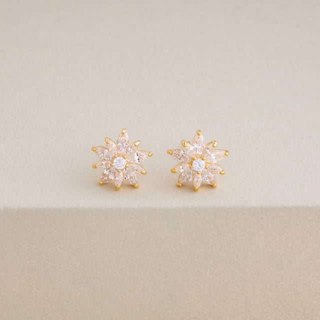 Silver Earring 92.5 Silver Earring 202772