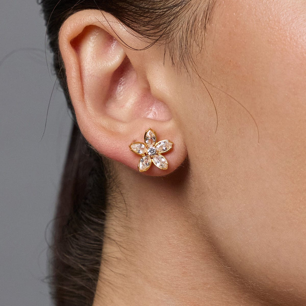 Silver Earring 92.5 Silver Earring 188340