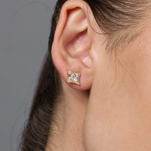 Silver Earring 92.5 Silver Earring 188343
