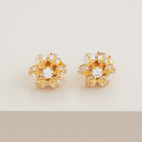 Silver Earring 92.5 Silver Earring 191529