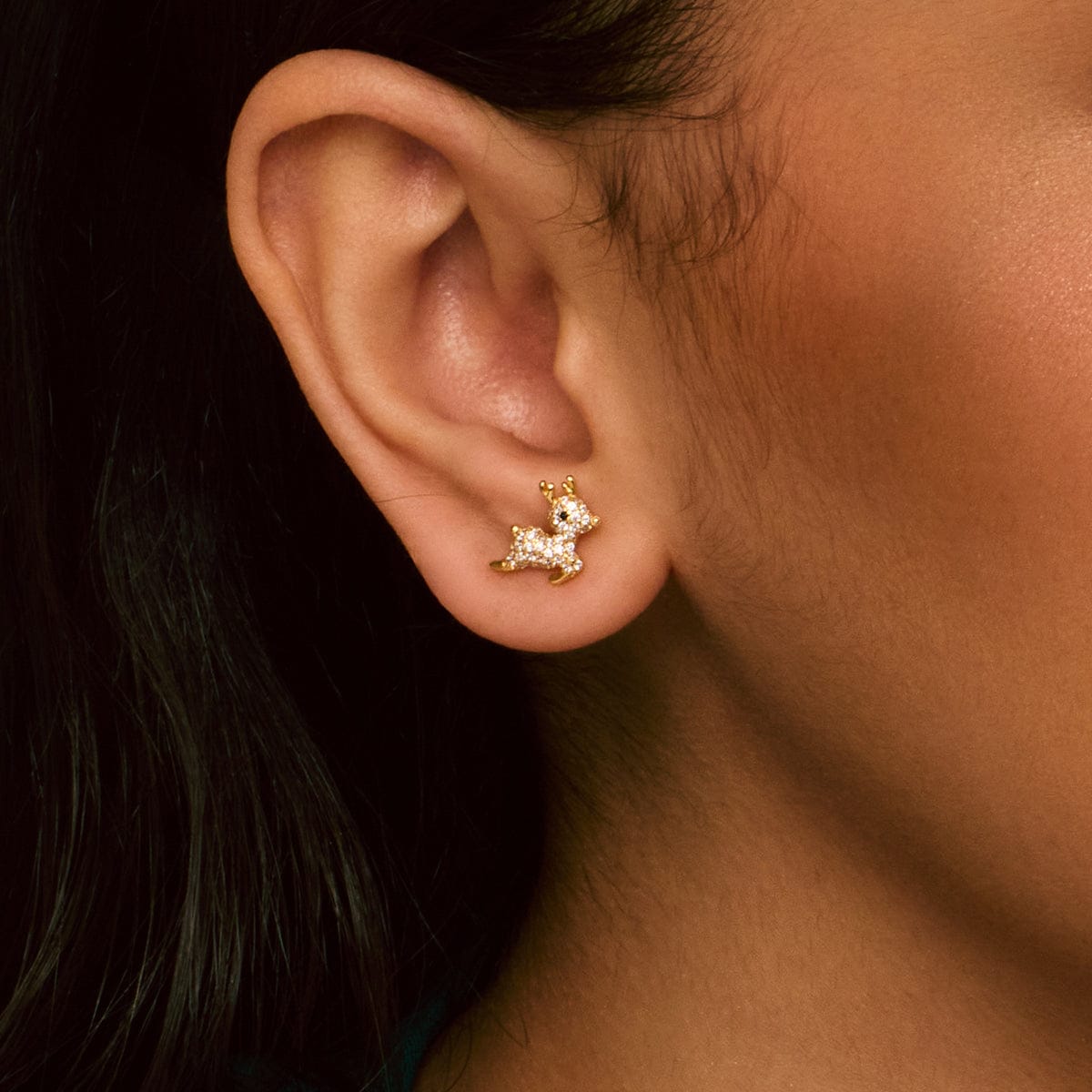 Silver Earring 92.5 Silver Earring 194274