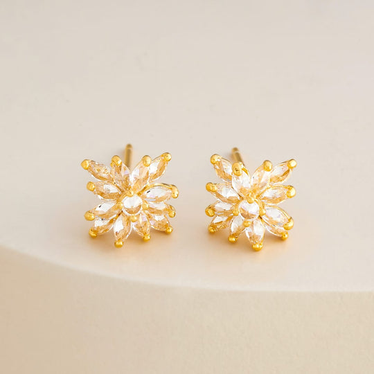 Silver Earring 92.5 Silver Earring 194529