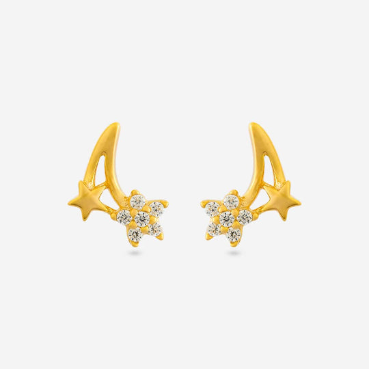 Silver Earring 92.5 Silver Earring 198884