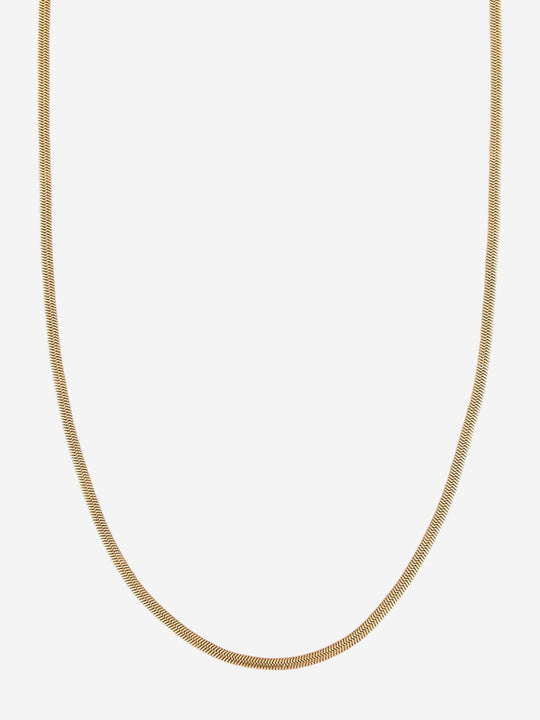 Trendy Chain Trendy Chain 204338