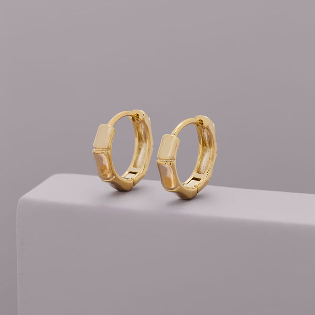Trendy Earring Trendy Earring 176101