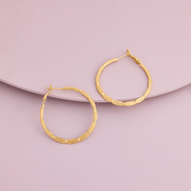 Trendy Earring Trendy Earring 201769