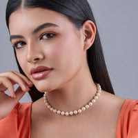 Trendy Necklace Trendy Necklace 183809