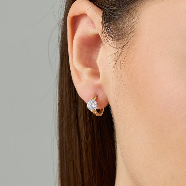 Trendy Zircon Earring Trendy Earring 162464