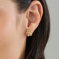 Trendy Zircon Earring Trendy Earring 176071