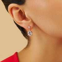 Trendy Zircon Earring Trendy Earring 179212