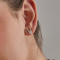 Trendy Zircon Earring Trendy Earring 184016