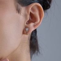 Trendy Zircon Earring Trendy Earring 184143