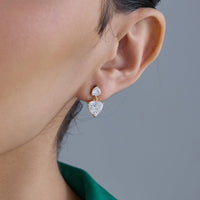 Trendy Zircon Earring Trendy Earring 184155