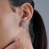 Trendy Zircon Earring Trendy Earring 184282