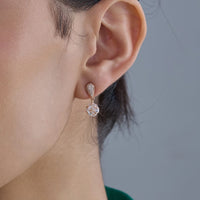 Trendy Zircon Earring Trendy Earring 184290