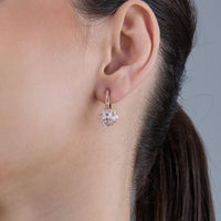 Trendy Zircon Earring Trendy Earring 184293