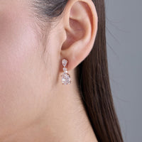 Trendy Zircon Earring Trendy Earring 185951