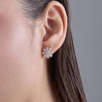 Trendy Zircon Earring Trendy Earring 186362