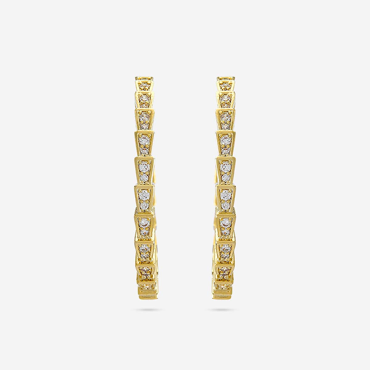 Trendy Zircon Earring Trendy Earring 187523