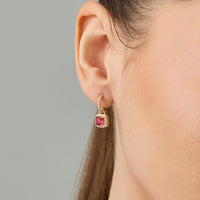 Trendy Zircon Earring Trendy Earring 189527