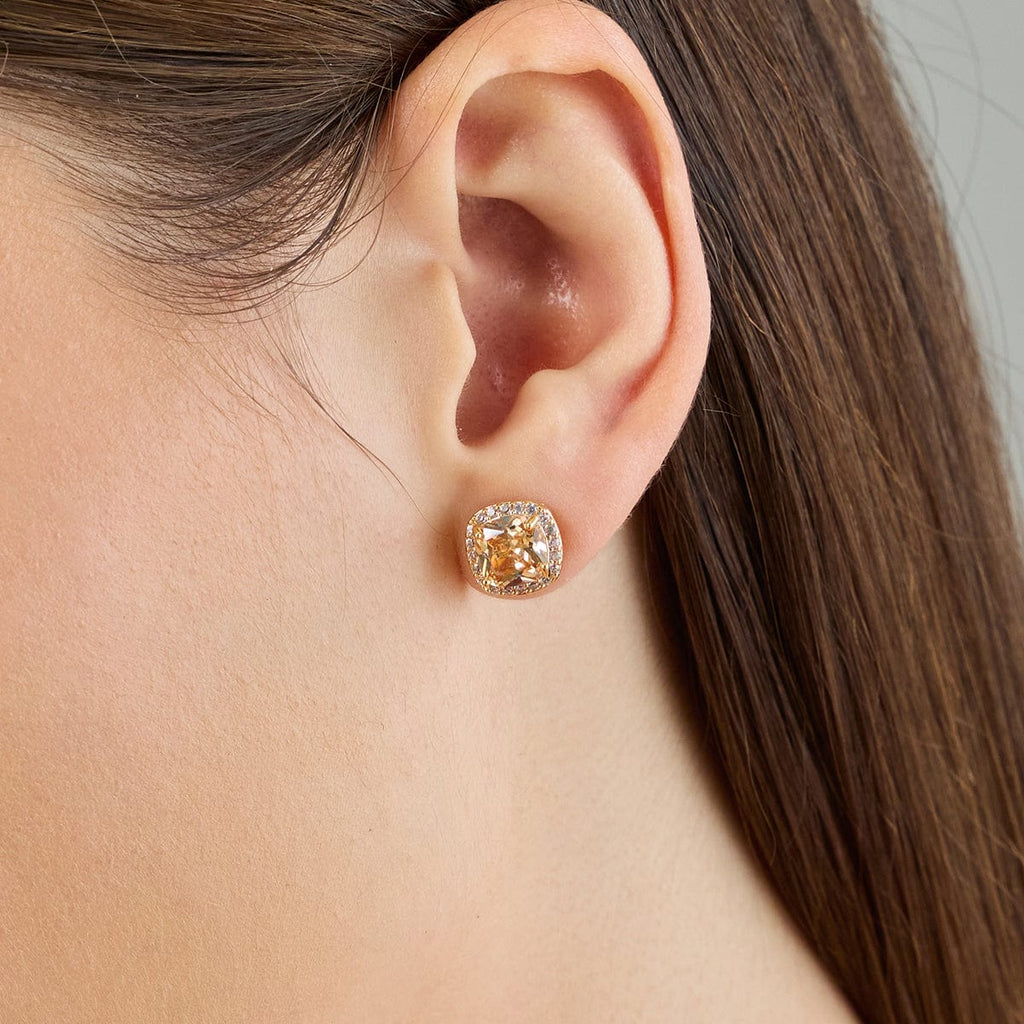Trendy Zircon Earring Trendy Earring 189528