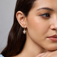 Trendy Zircon Earring Trendy Earring 189582