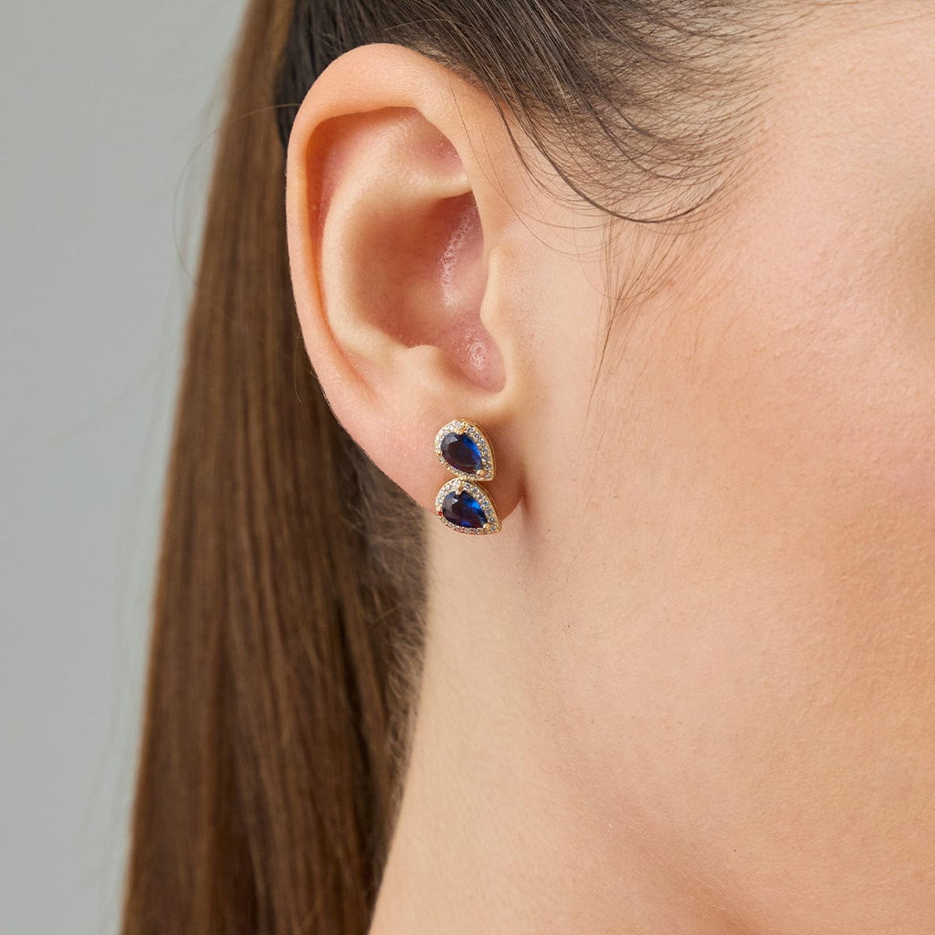 Trendy Zircon Earring Trendy Earring 189978