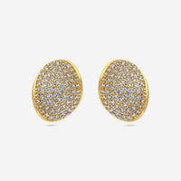Trendy Zircon Earring Trendy Earring 192979