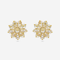 Trendy Zircon Earring Trendy Earring 195781