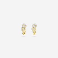 Trendy Zircon Earring Trendy Earring 196545